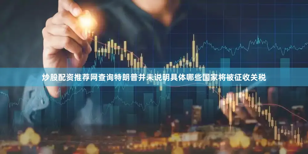 炒股配资推荐网查询特朗普并未说明具体哪些国家将被征收关税